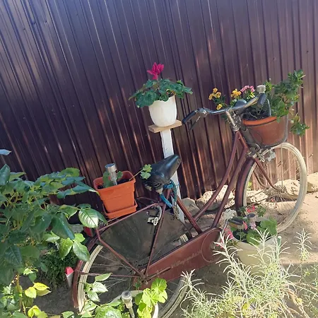 Casa Chriss Apartmán Eforie Sud (Constanta)
